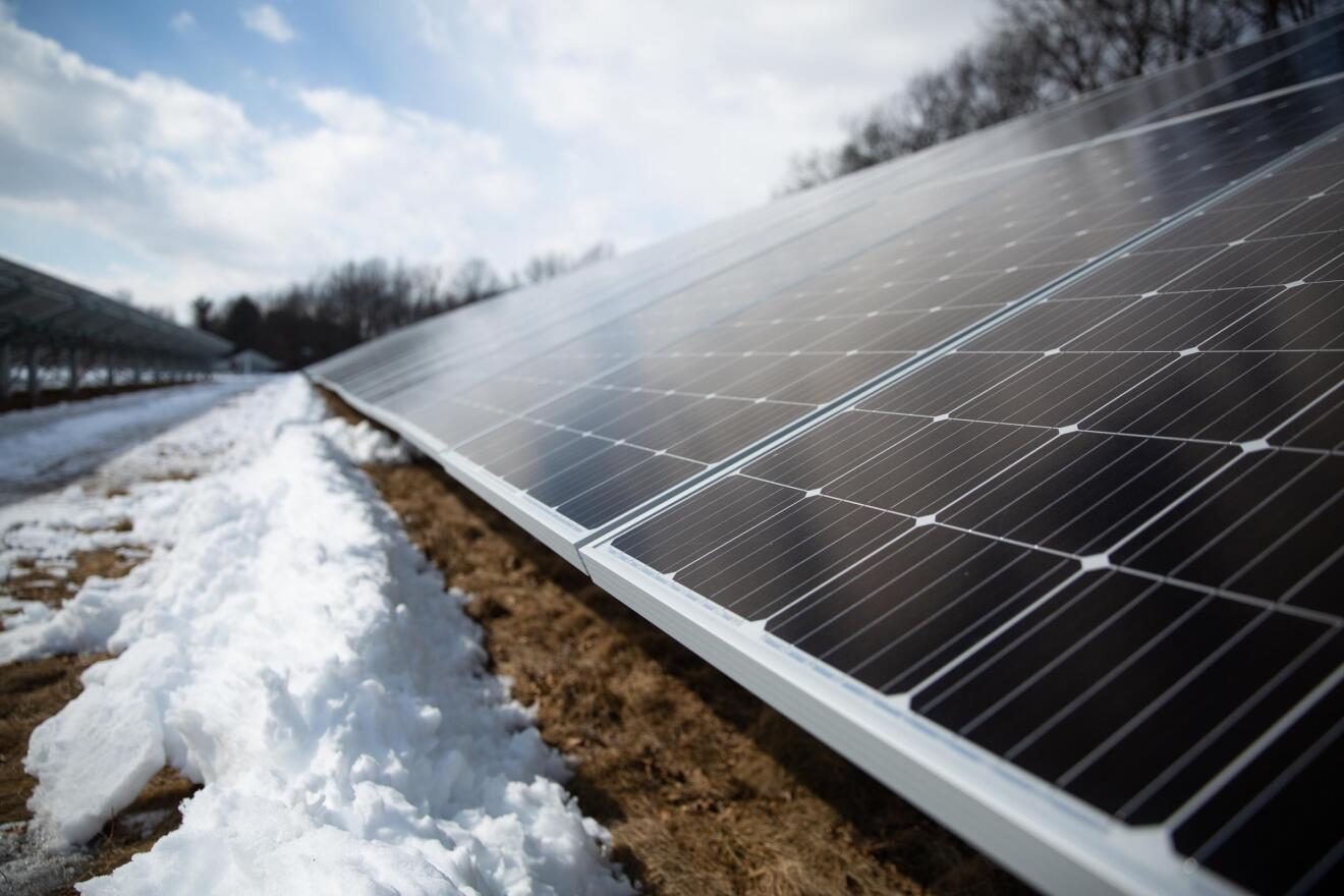 Panels at the state's only shared solar array in Bloomfield, pictured last year.
